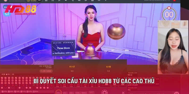 Bí Quyết Soi Cầu Tài Xỉu HD88 Từ Các Cao Thủ