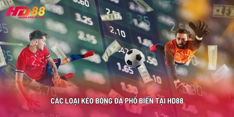 Các Loại Kèo Bóng Đá Phổ Biến Tại HD88