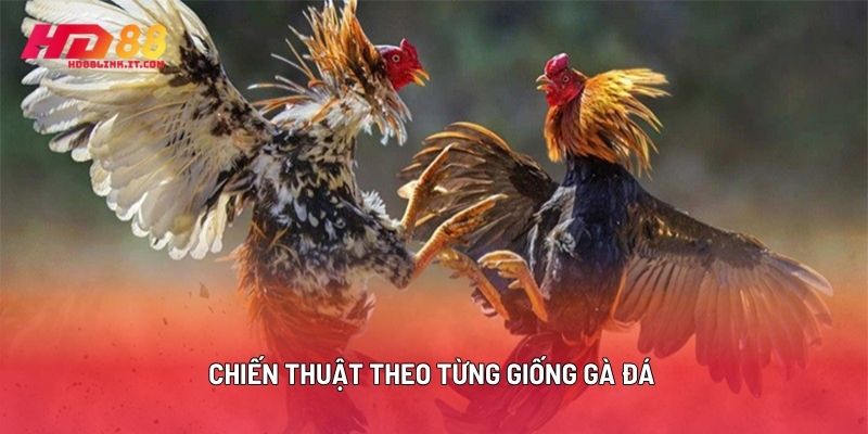 Chiến Thuật Theo Từng Giống Gà Đá