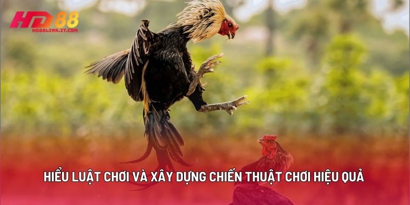 Hiểu Luật Chơi Và Xây Dựng Chiến Thuật Chơi Hiệu Quả