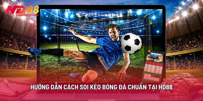 Hướng Dẫn Cách Soi Kèo Bóng Đá Chuẩn Tại HD88