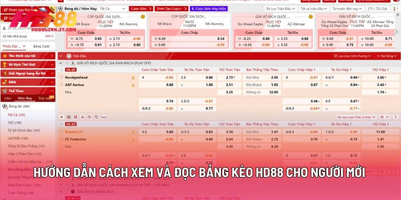 Hướng Dẫn Cách Xem Và Đọc Bảng Kèo HD88 Cho Người Mới