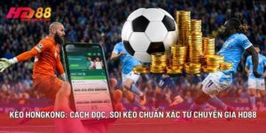 Kèo Hongkong: Cách Đọc, Soi Kèo Chuẩn Xác Từ Chuyên Gia HD88