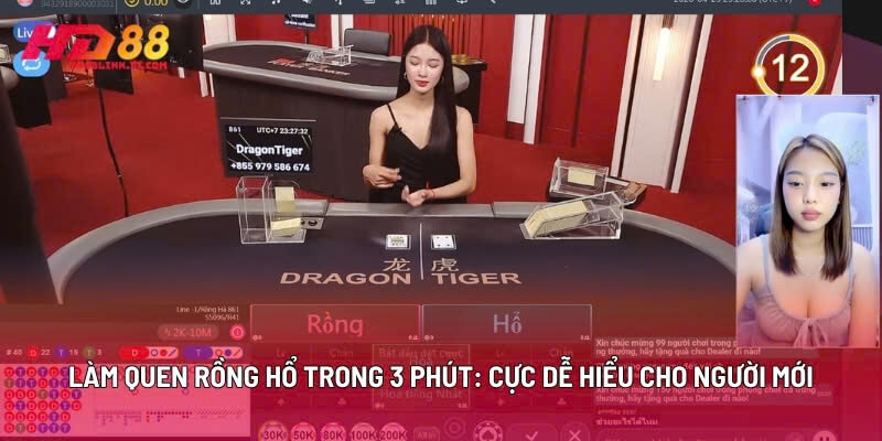 Làm Quen Rồng Hổ Trong 3 Phút: Cực Dễ Hiểu Cho Người Mới