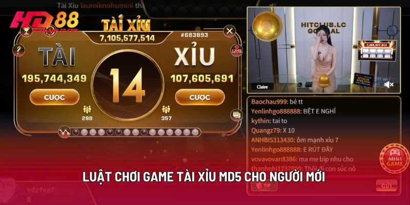 Luật Chơi Game Tài Xỉu Md5 Cho Người Mới