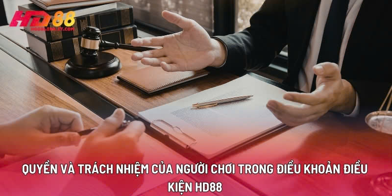 Quyền Và Trách Nhiệm Của Người Chơi Trong Điều Khoản Điều Kiện HD88